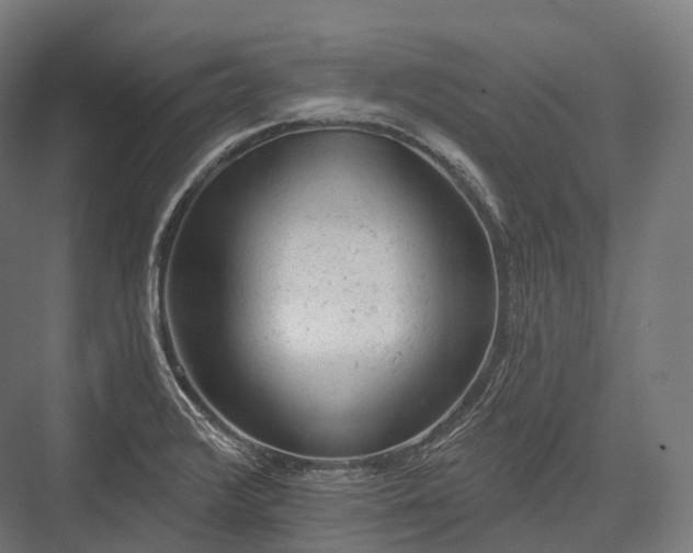 X0000076301376200610061253