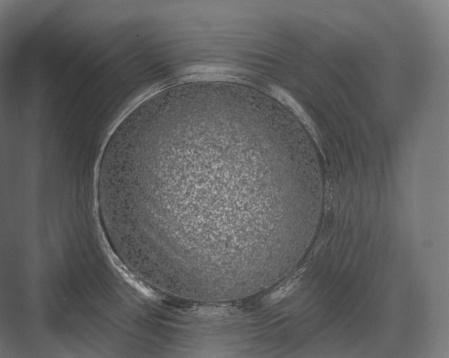 X0000076301386200610061252