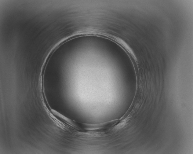 X0000076301388200610061252