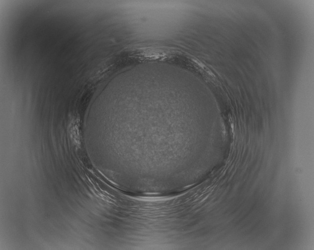 X0000076301394200610061252