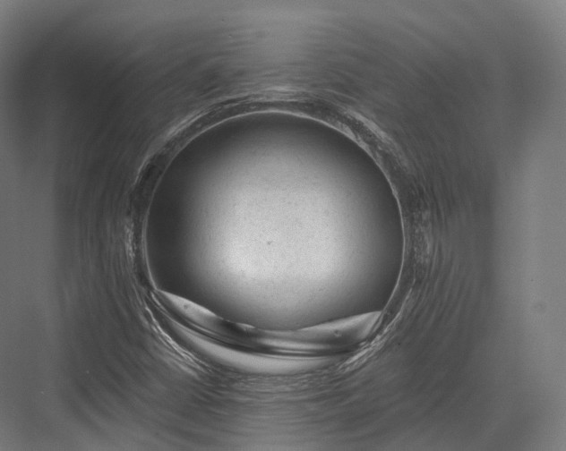 X0000076301402200610061252