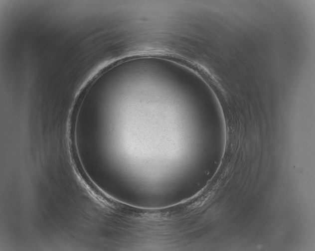 X0000076301422200610061252
