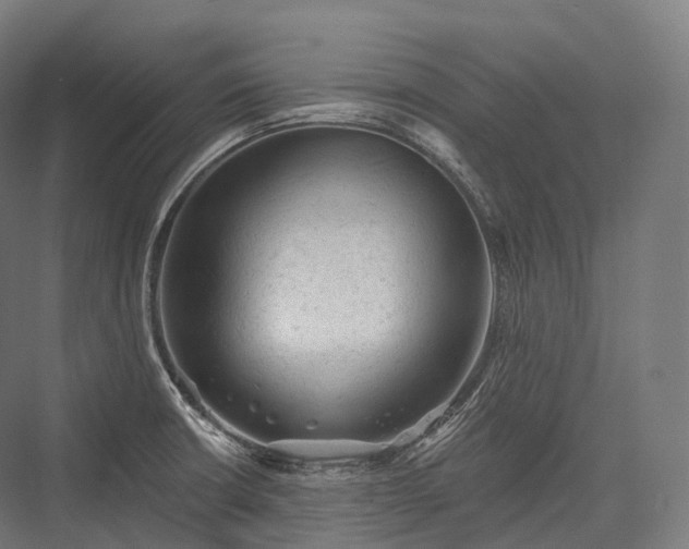 X0000076301426200610061252