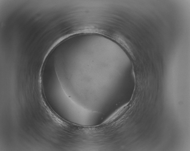 X0000076301428200610061252