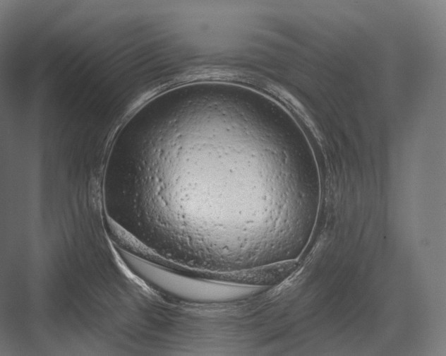 X0000076301433200610061252