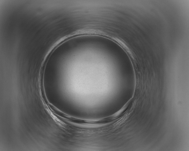 X0000076301438200610061252