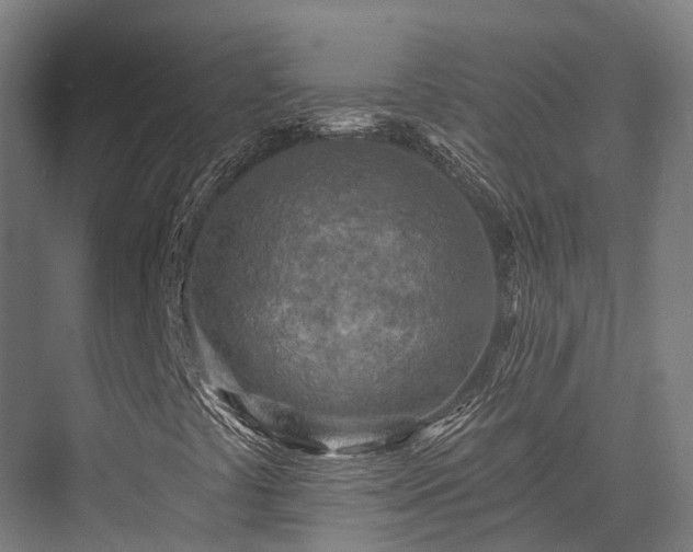 X0000076301441200610061252