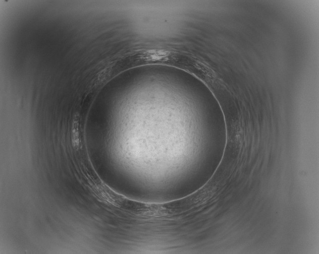 X0000076301442200610061252