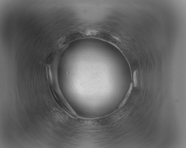 X0000076301443200610061252