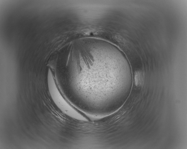 X0000076301444200610061252
