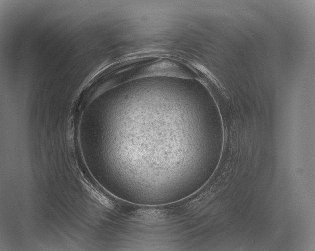 X0000076301450200610061251