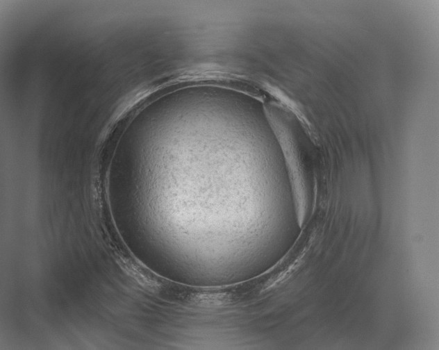 X0000076301453200610061251
