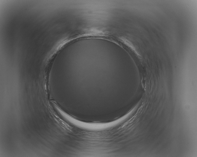 X0000076301455200610061251
