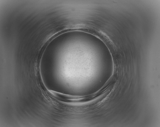 X0000076301457200610061251
