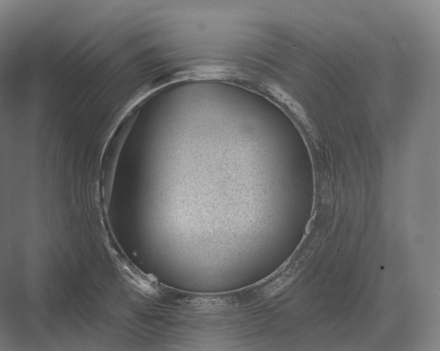 X0000076301473200610061251