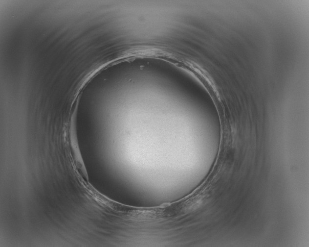 X0000076301481200610061251