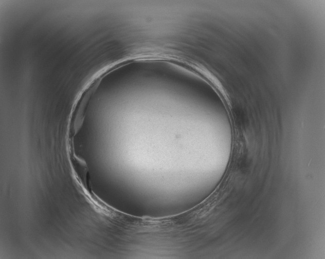 X0000076301485200610061251