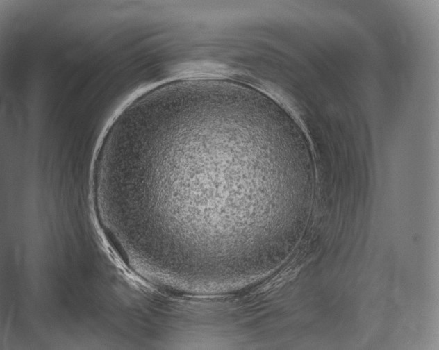 X0000076301488200610061251