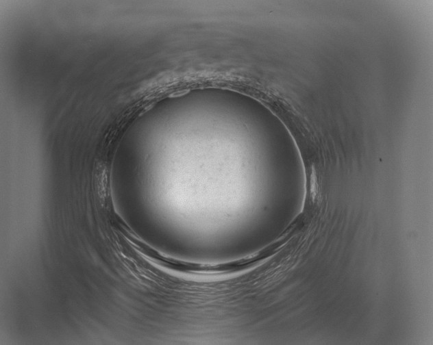 X0000076301492200610061250