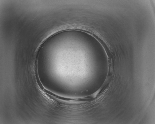 X0000076301500200610061250