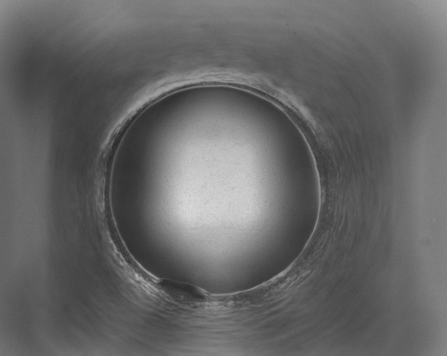 X0000076301504200610061250