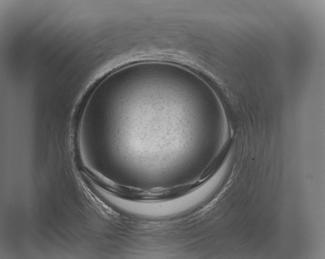 X0000076301506200610061250