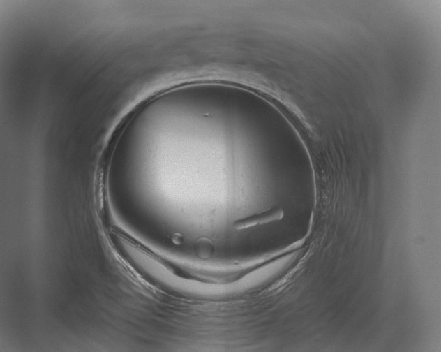 X0000076301510200610061250