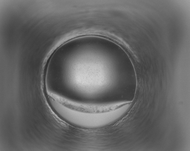 X0000076301512200610061250