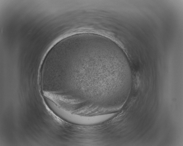 X0000076301527200610061251