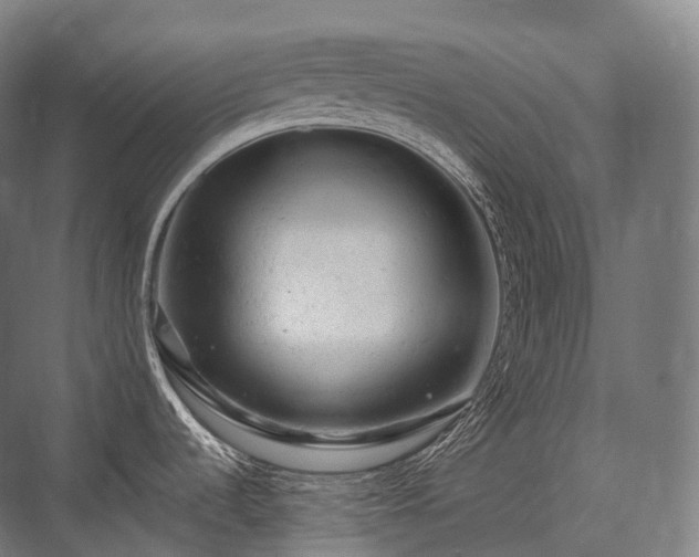 X0000076301536200610061251