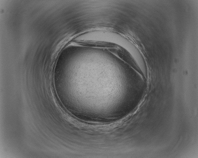 X0000076300001200610161605