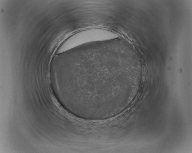 X0000076300002200610161605