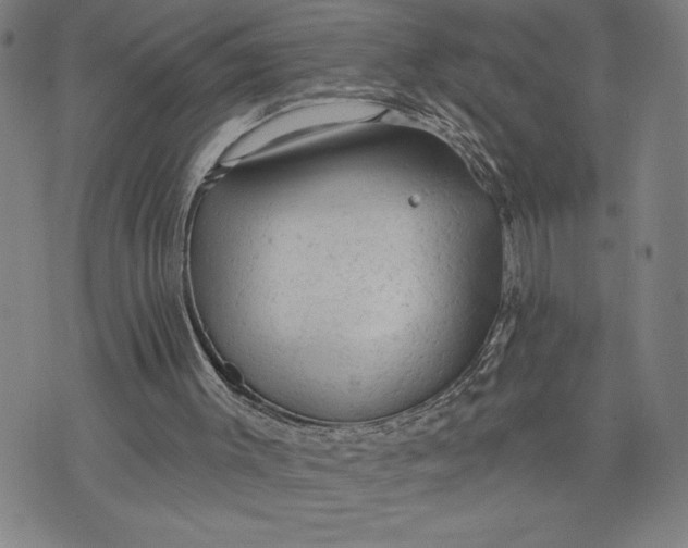 X0000076300003200610161605