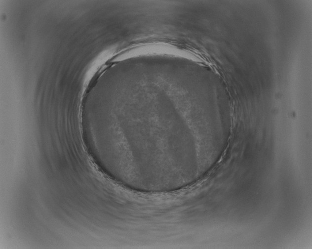 X0000076300006200610161605