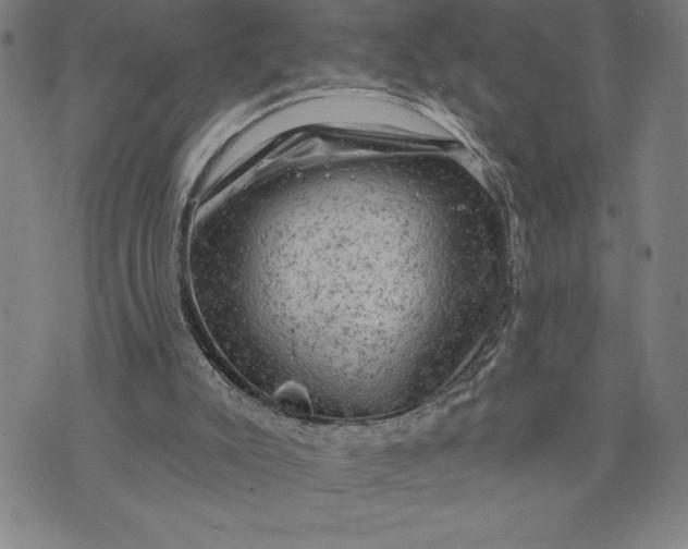 X0000076300007200610161605