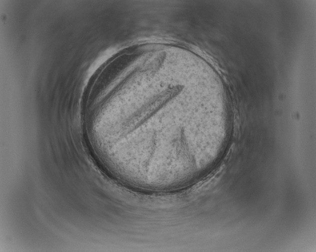 X0000076300008200610161605