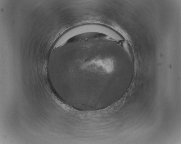 X0000076300009200610161605