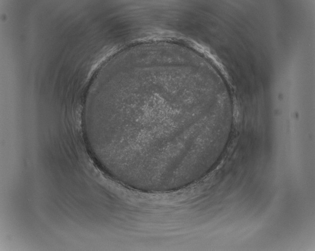 X0000076300010200610161605