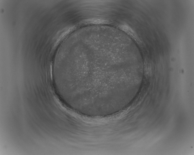 X0000076300014200610161605