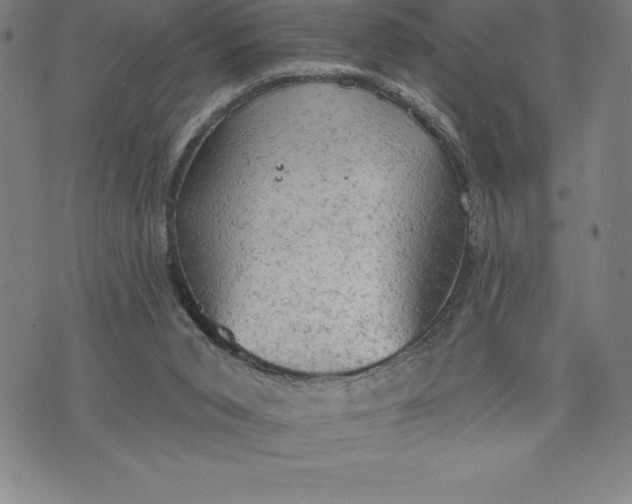 X0000076300015200610161605