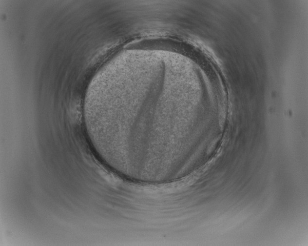 X0000076300017200610161605