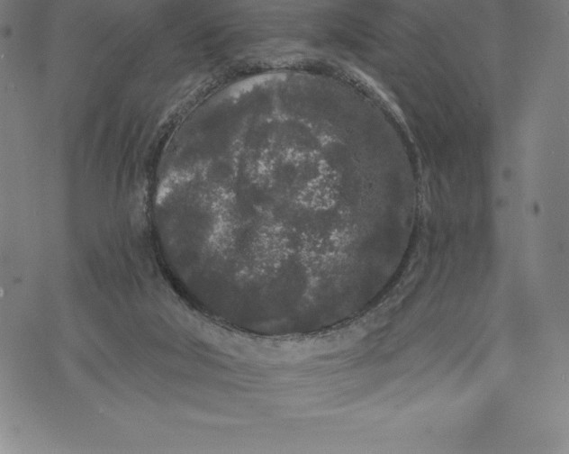 X0000076300018200610161605