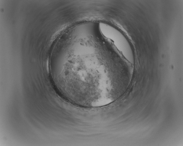 X0000076300019200610161605