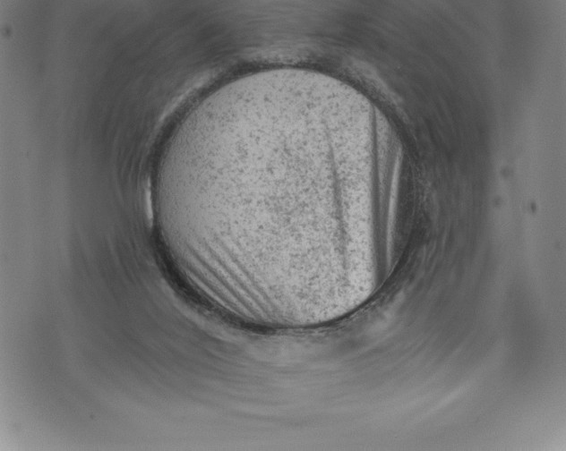 X0000076300020200610161605