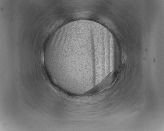 X0000076300021200610161605