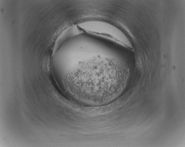 X0000076300023200610161605