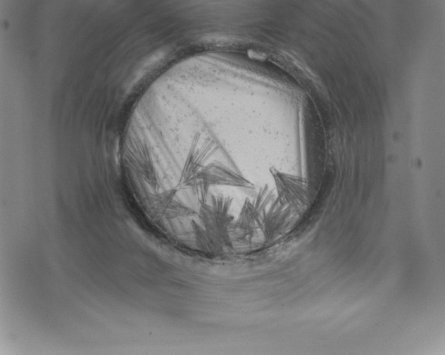 X0000076300024200610161605