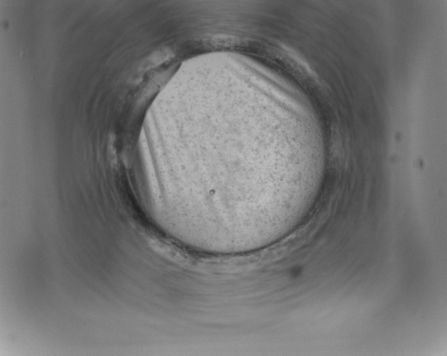 X0000076300025200610161605