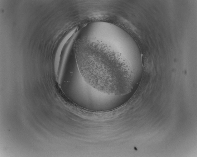 X0000076300027200610161605