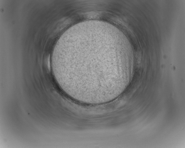 X0000076300028200610161605